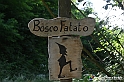 VBS_4655 - Il bosco fatato - Montaldo Roero